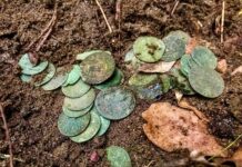 „Sakiewka potopowa” z XVII wieku odkryta pod Toruniem (GALERIA) skarb srebrnych monet znaleziony pod Toruniem