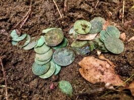 „Sakiewka potopowa” z XVII wieku odkryta pod Toruniem (GALERIA) skarb srebrnych monet znaleziony pod Toruniem