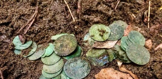 „Sakiewka potopowa” z XVII wieku odkryta pod Toruniem (GALERIA) skarb srebrnych monet znaleziony pod Toruniem