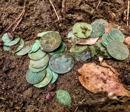 „Sakiewka potopowa” z XVII wieku odkryta pod Toruniem (GALERIA) skarb srebrnych monet znaleziony pod Toruniem