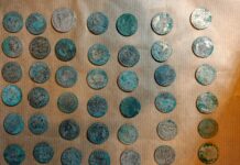 Kujawsko-pomorskie. Wywrócił się w lesie na rowerze i znalazł skarb srebrnych monet… Skarb srebrnych monet kujawsko-pomorskie