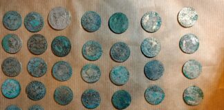 Kujawsko-pomorskie. Wywrócił się w lesie na rowerze i znalazł skarb srebrnych monet… Skarb srebrnych monet kujawsko-pomorskie