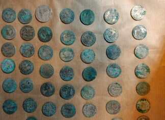 Kujawsko-pomorskie. Wywrócił się w lesie na rowerze i znalazł skarb srebrnych monet… Skarb srebrnych monet kujawsko-pomorskie