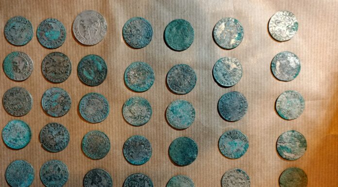 Kujawsko-pomorskie. Wywrócił się w lesie na rowerze i znalazł skarb srebrnych monet… Skarb srebrnych monet kujawsko-pomorskie