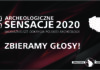 Wybory „Archeologicznych Sensacji” roku 2020! (ANKIETA)