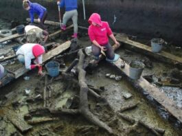 Neolityczne domy budowane na palach – liczą po 4 tys. lat! neolityczne domy na palach