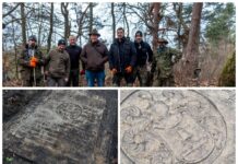 Szczecin. Porządkowali cmentarz i odkryli barokową płytę z 1699 roku (GALERIA)