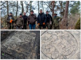 Szczecin. Porządkowali cmentarz i odkryli barokową płytę z 1699 roku (GALERIA)