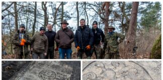 Szczecin. Porządkowali cmentarz i odkryli barokową płytę z 1699 roku (GALERIA)