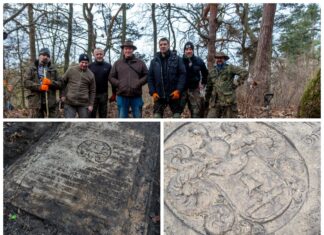 Szczecin. Porządkowali cmentarz i odkryli barokową płytę z 1699 roku (GALERIA)