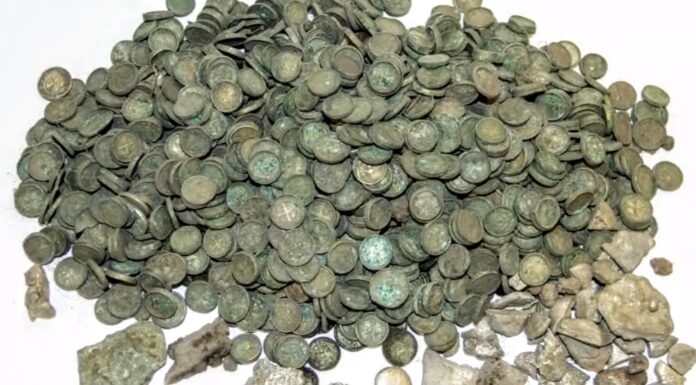 Ponad 6,5 tys. zabytków z XI-XII w. liczy skarb odkryty w polu pod Kaliszem skarb odkryty pod Kaliszem