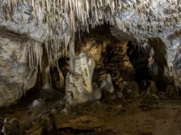 Prof. Gradziński: Jaskinie są świetnym archiwum danych o przeszłości (+FILM) Jaskinia Raj