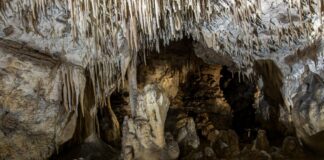 Prof. Gradziński: Jaskinie są świetnym archiwum danych o przeszłości (+FILM) Jaskinia Raj