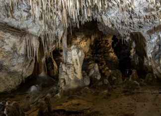 Prof. Gradziński: Jaskinie są świetnym archiwum danych o przeszłości (+FILM) Jaskinia Raj