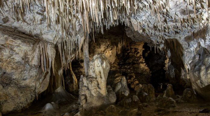 Prof. Gradziński: Jaskinie są świetnym archiwum danych o przeszłości (+FILM) Jaskinia Raj