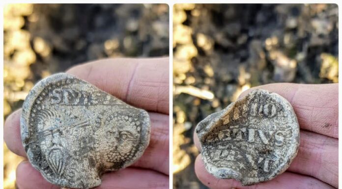 Papieska bulla z XIV w. znaleziona przez poszukiwacza (GALERIA) papieska bulla Innocentego IV