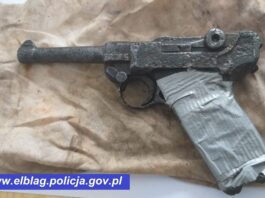 Elbląg. Recydywista z „Lugerem” i amunicją zatrzymany przez policję Pistolet Parabellum P-08