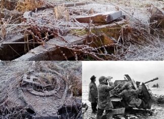 Niezwykłe wojenne znalezisko z pola – właściciel nie miał o nim pojęcia! podstawa działka przeciwlotniczego Flak