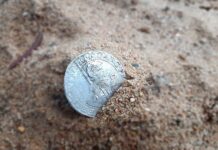 Wielka srebrna moneta z XVII w. znaleziona wykrywaczem pod Toruniem
