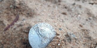 Wielka srebrna moneta z XVII w. znaleziona wykrywaczem pod Toruniem