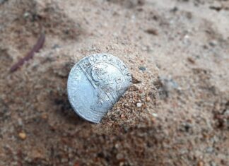 Wielka srebrna moneta z XVII w. znaleziona wykrywaczem pod Toruniem