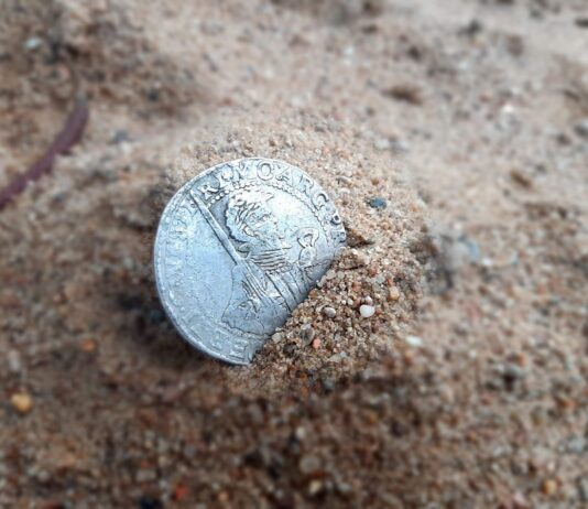 Wielka srebrna moneta z XVII w. znaleziona wykrywaczem pod Toruniem