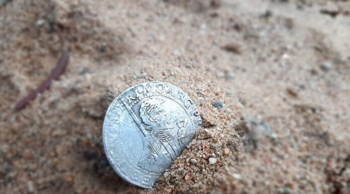 Wielka srebrna moneta z XVII w. znaleziona wykrywaczem pod Toruniem