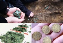 Unikalny i wielki skarb liczący prawie 7 tys. monet odkryto na Węgrzech (GALERIA) średniowieczny skarb srebrnych monet