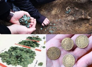 Unikalny i wielki skarb liczący prawie 7 tys. monet odkryto na Węgrzech (GALERIA) średniowieczny skarb srebrnych monet