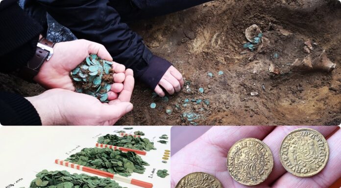 Unikalny i wielki skarb liczący prawie 7 tys. monet odkryto na Węgrzech (GALERIA) średniowieczny skarb srebrnych monet