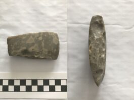 Znalazł w polu siekierkę z neolitu i pokazał w internecie – odwiedziła go policja neolityczna siekierka krzemienna