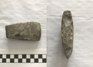 Znalazł w polu siekierkę z neolitu i pokazał w internecie – odwiedziła go policja neolityczna siekierka krzemienna