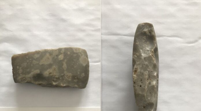 Znalazł w polu siekierkę z neolitu i pokazał w internecie – odwiedziła go policja neolityczna siekierka krzemienna