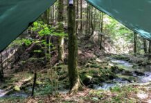 „Zanocuj w lesie” – pilotażowy program Lasów Państwowych zostanie rozszerzony zanocuj w lesie bushcraft