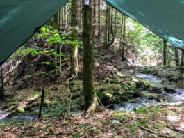 „Zanocuj w lesie” – pilotażowy program Lasów Państwowych zostanie rozszerzony zanocuj w lesie bushcraft