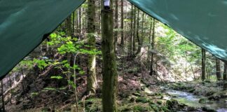 „Zanocuj w lesie” – pilotażowy program Lasów Państwowych zostanie rozszerzony zanocuj w lesie bushcraft