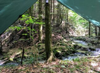 „Zanocuj w lesie” – pilotażowy program Lasów Państwowych zostanie rozszerzony zanocuj w lesie bushcraft