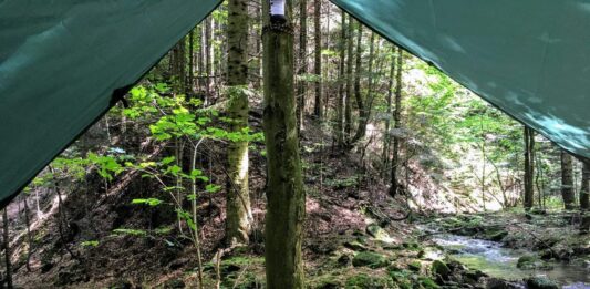 „Zanocuj w lesie” – pilotażowy program Lasów Państwowych zostanie rozszerzony zanocuj w lesie bushcraft