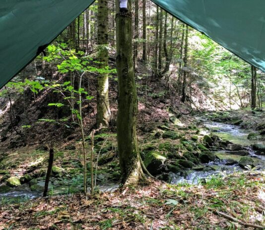 „Zanocuj w lesie” – pilotażowy program Lasów Państwowych zostanie rozszerzony zanocuj w lesie bushcraft