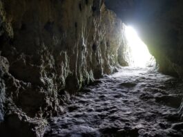 Żyli 46 tys. lat temu w jaskini na Jurze – nowe informacje o neandertalczykach! Jaskinia Stajnia na Jurze