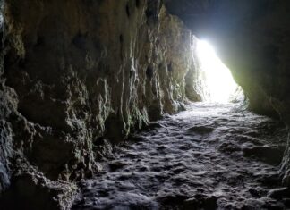 Żyli 46 tys. lat temu w jaskini na Jurze – nowe informacje o neandertalczykach! Jaskinia Stajnia na Jurze