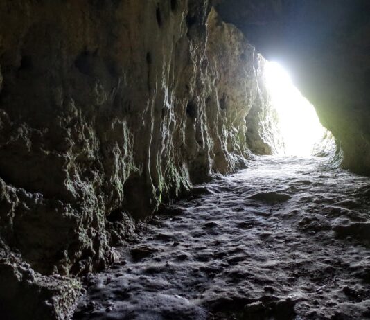 Żyli 46 tys. lat temu w jaskini na Jurze – nowe informacje o neandertalczykach! Jaskinia Stajnia na Jurze