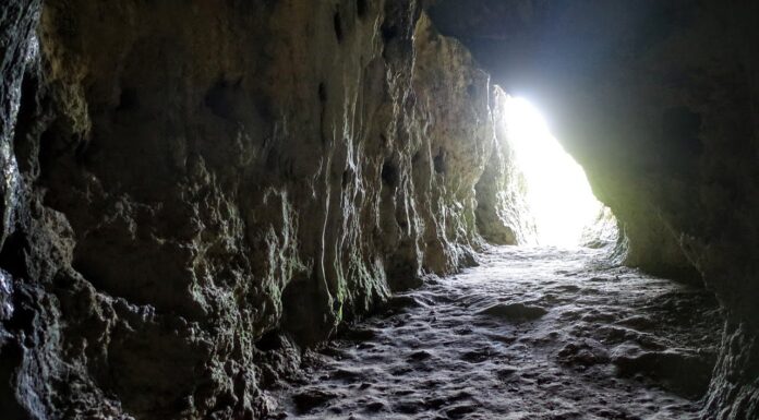 Żyli 46 tys. lat temu w jaskini na Jurze – nowe informacje o neandertalczykach! Jaskinia Stajnia na Jurze