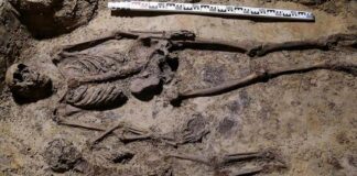 Odkrycia archeologiczne w podziemiach kościoła Wszystkich Świętych w Pszczynie (FILM) Krypta kościoła w Pszczynie