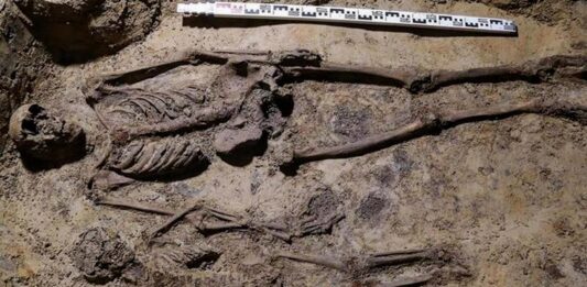 Odkrycia archeologiczne w podziemiach kościoła Wszystkich Świętych w Pszczynie (FILM) Krypta kościoła w Pszczynie