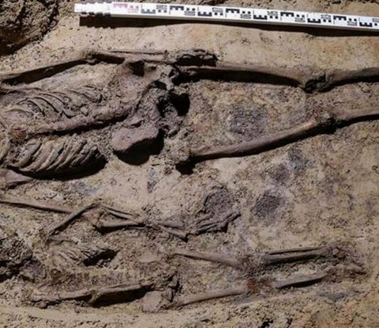 Odkrycia archeologiczne w podziemiach kościoła Wszystkich Świętych w Pszczynie (FILM) Krypta kościoła w Pszczynie