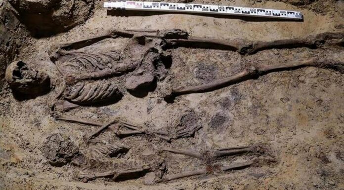 Odkrycia archeologiczne w podziemiach kościoła Wszystkich Świętych w Pszczynie (FILM) Krypta kościoła w Pszczynie