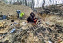 W bezimiennej mogile zbiorowej na Białołęce odnaleziono 35 osób w tym dzieci badania mogiły w lesie w Białołęce