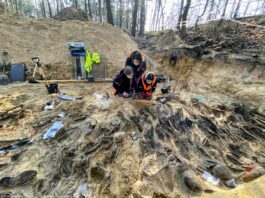 W bezimiennej mogile zbiorowej na Białołęce odnaleziono 35 osób w tym dzieci badania mogiły w lesie w Białołęce