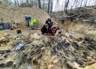 W bezimiennej mogile zbiorowej na Białołęce odnaleziono 35 osób w tym dzieci badania mogiły w lesie w Białołęce